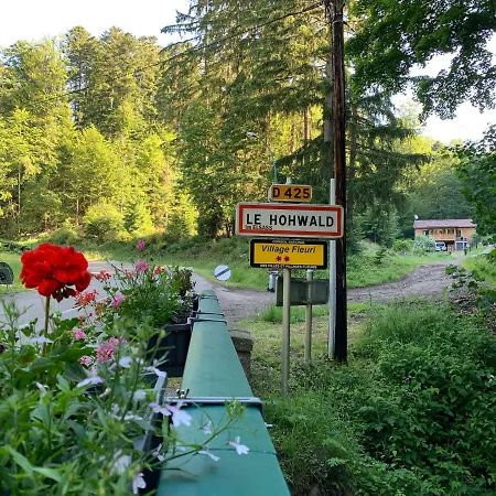 Au Cours D'eau * Le Hohwald